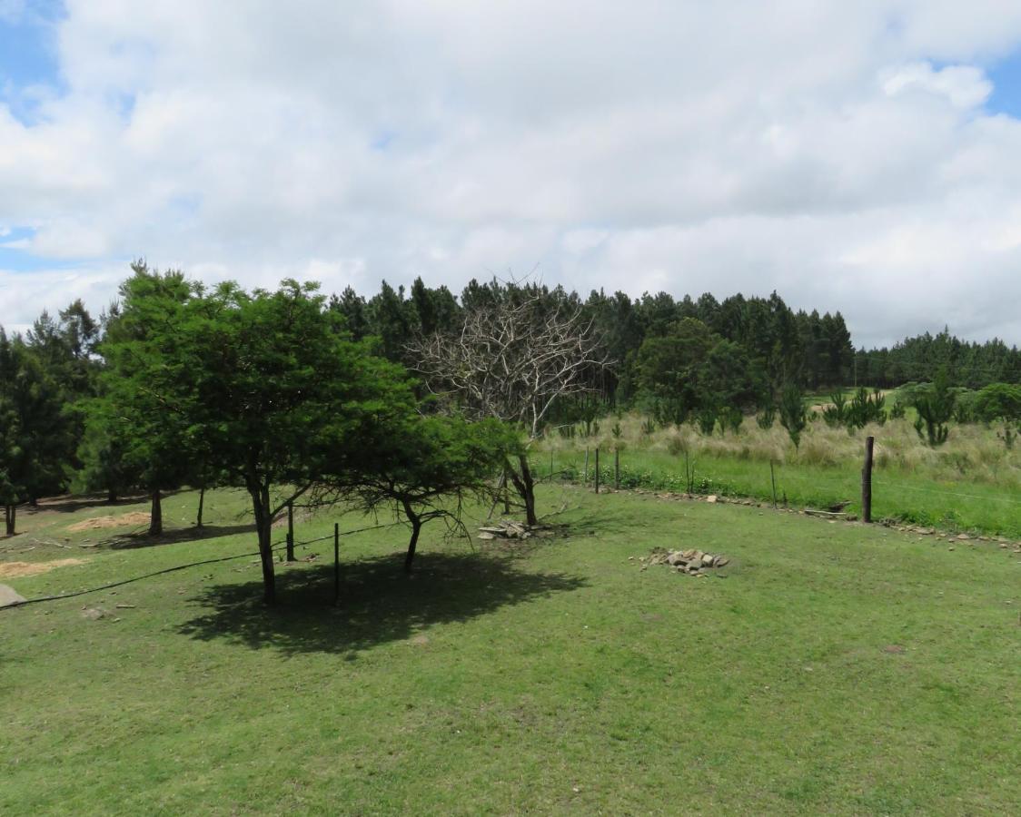 Misty View Farm Stay Layitemeni 외부 사진